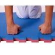 Slika 3/6 -Puzzle tatami športna podloga 100x100x2 cm LEE rdeče-modra