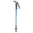 Slika 2/2 -Sprehajalna palica WALKING STOCK