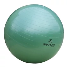 Gimnastična žoga, 65 cm SPARTAN