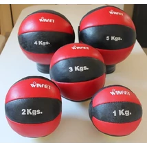 Usnjena medicinska žoga, 4 kg WINART