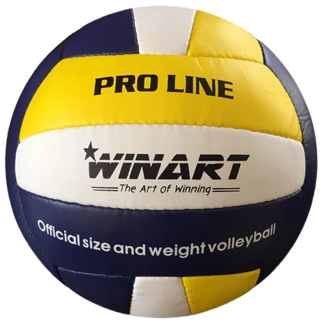 Odbojka WINART PRO LINE št. 5
