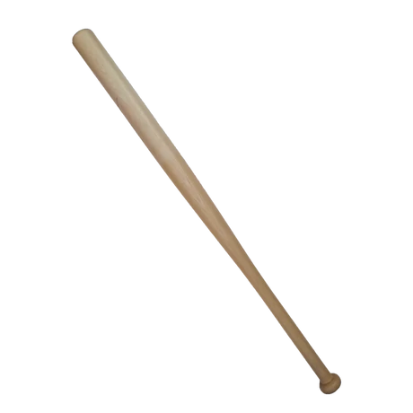 Lesena palica za bejzbol, 75 cm S-SPORT
