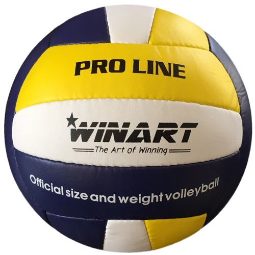 Odbojka WINART PRO LINE št. 5